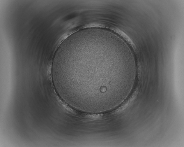 X0000113780937200909231312