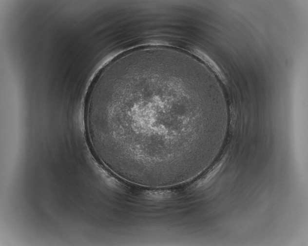 X0000113780939200909231312