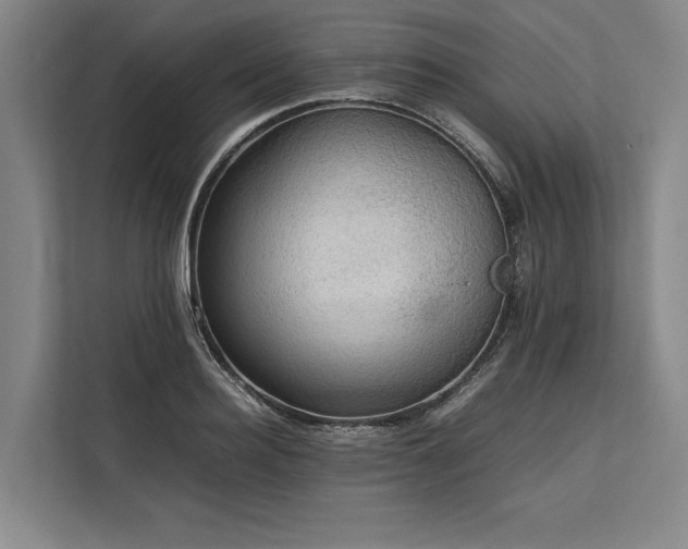 X0000113780940200909231312