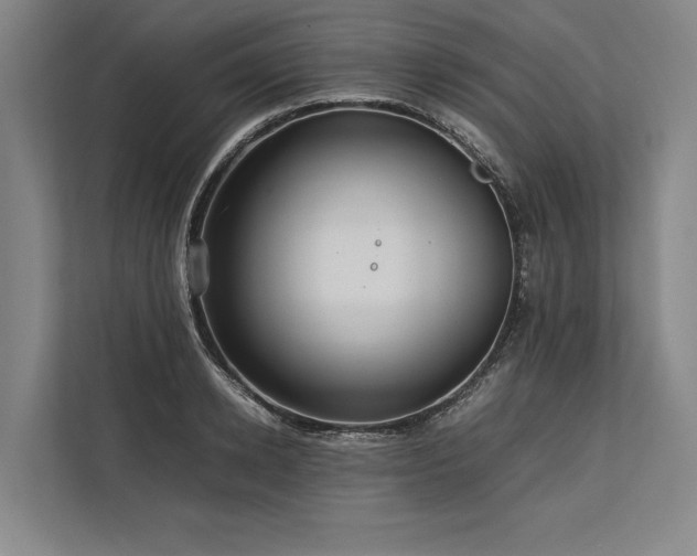 X0000113780942200909231312