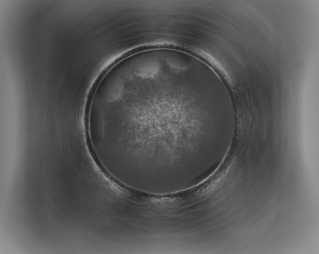 X0000113780943200909231312