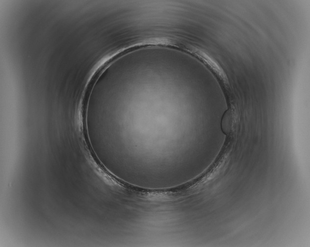 X0000113780944200909231312