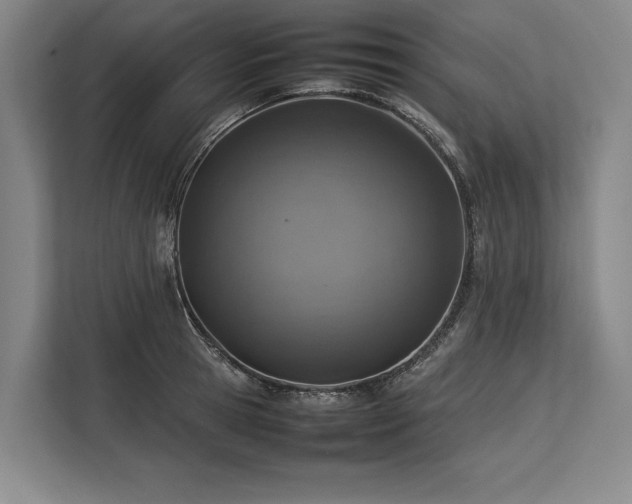 X0000113780945200909231312