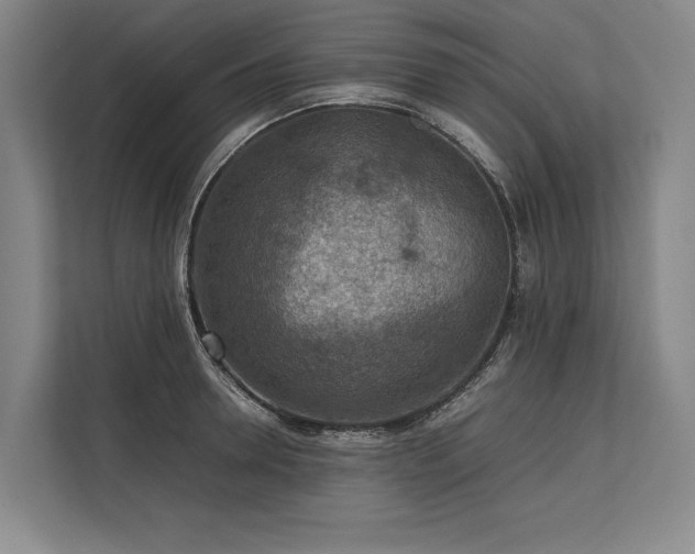 X0000113780946200909231312