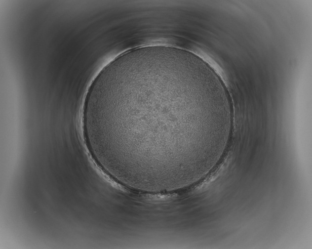 X0000113780949200909231312