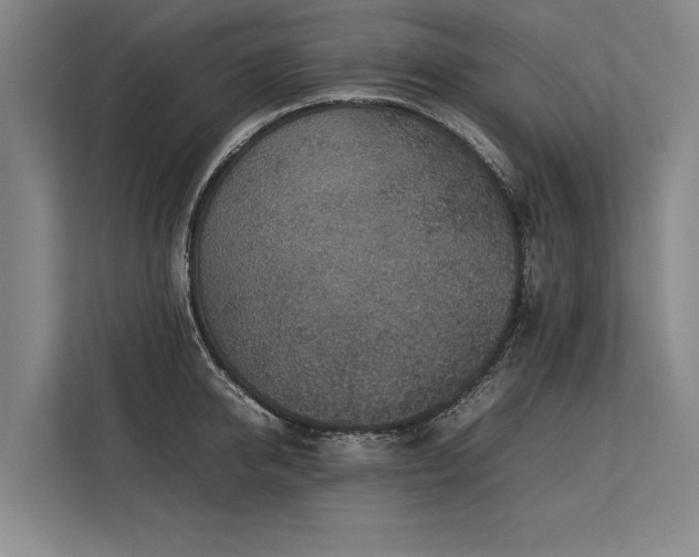 X0000113780950200909231312