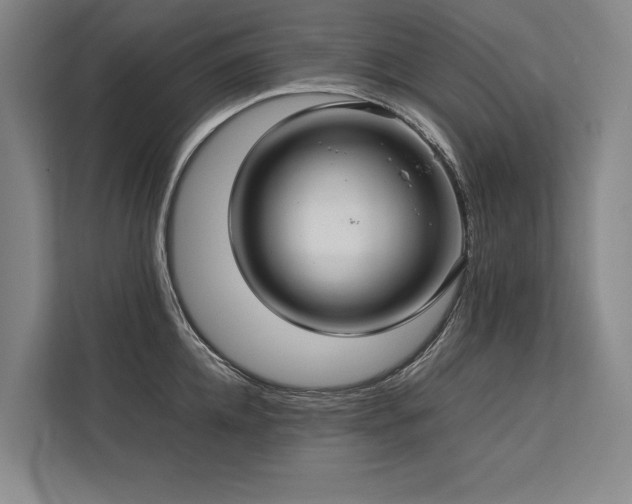 X0000113780952200909231313