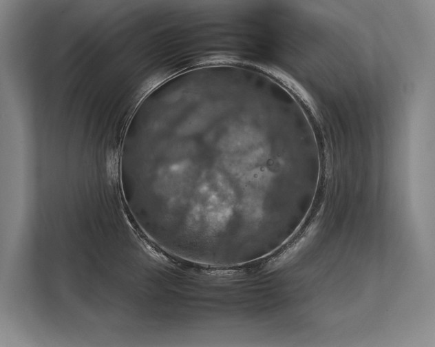 X0000113780953200909231313