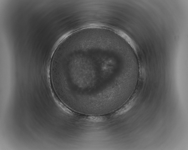 X0000113780954200909231313