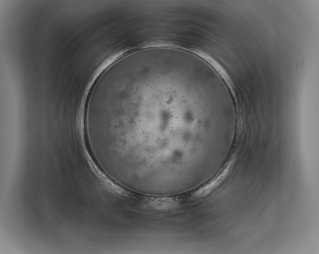X0000113780957200909231313