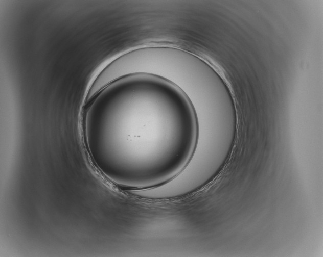 X0000113780960200909231313
