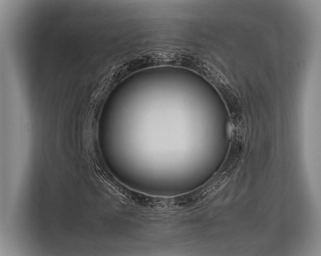 X0000113780961200909231312