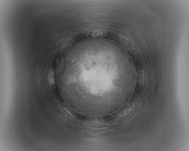 X0000113780962200909231312