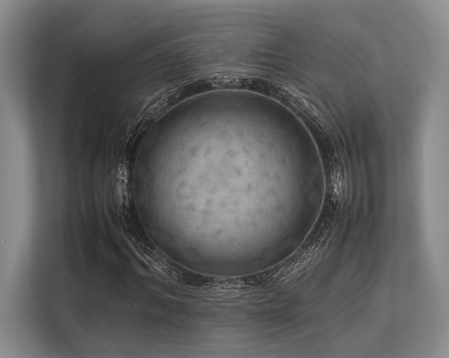 X0000113780964200909231312
