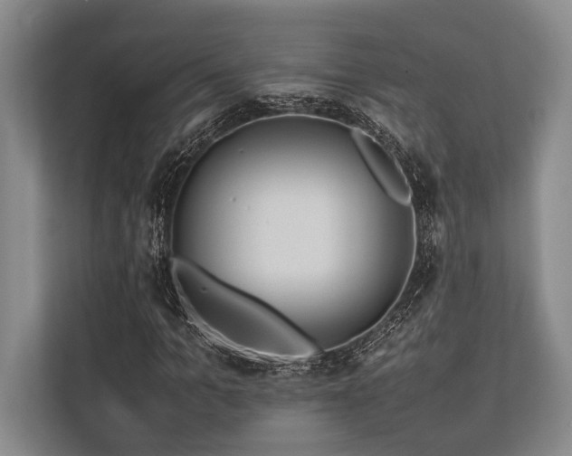 X0000113780965200909231312