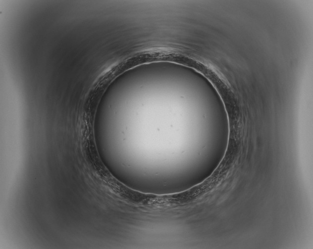 X0000113780967200909231312