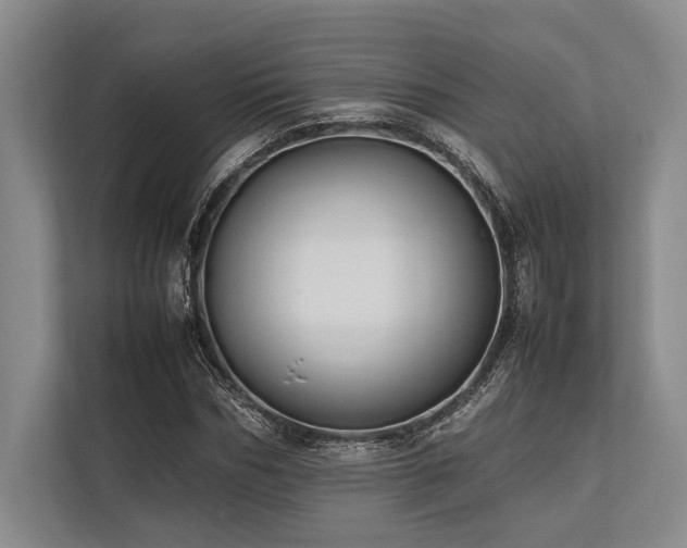 X0000113780970200909231312