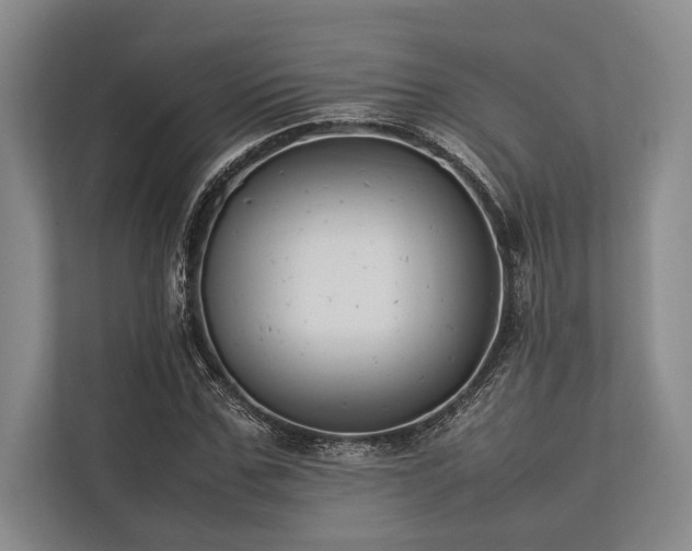 X0000113780971200909231312