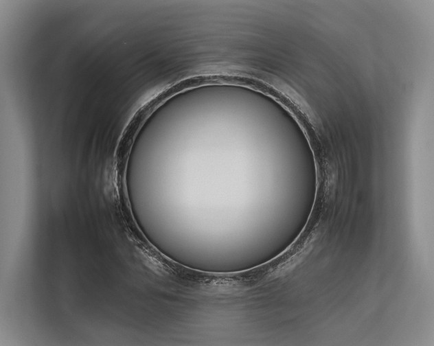 X0000113780974200909231312