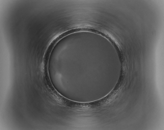 X0000113780975200909231312