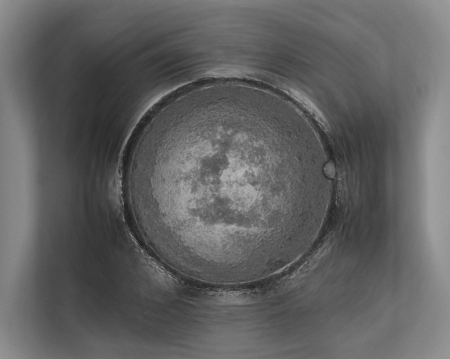 X0000113780976200909231312