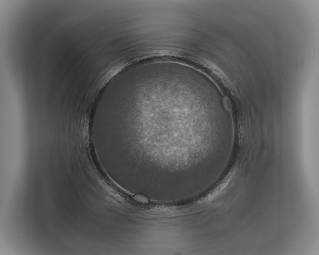 X0000113780977200909231312