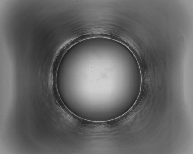 X0000113780979200909231312