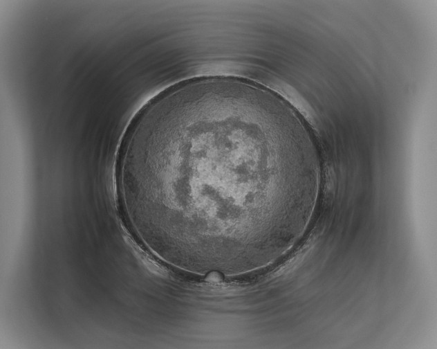 X0000113780980200909231312