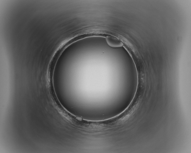 X0000113780981200909231312