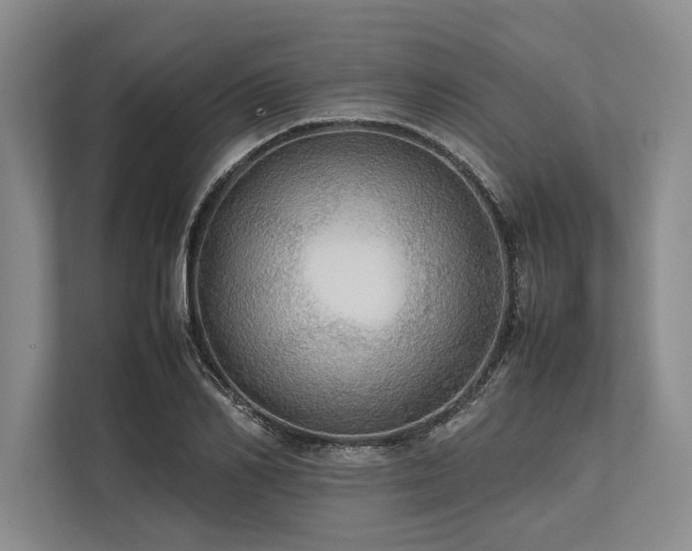 X0000113780982200909231312