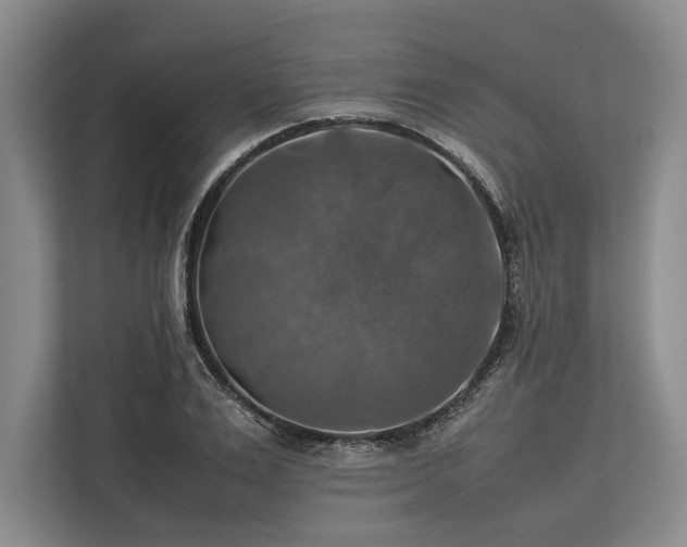 X0000113780983200909231312