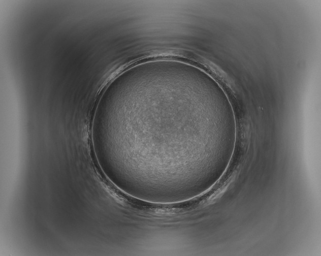 X0000113780985200909231312