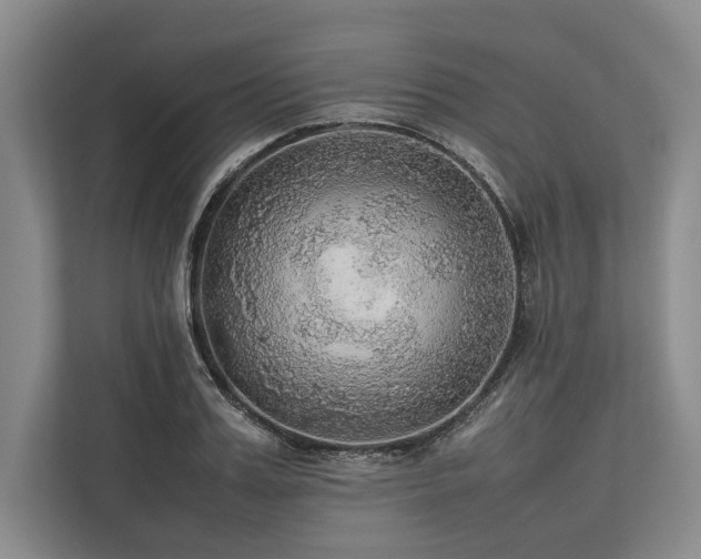 X0000113780987200909231312