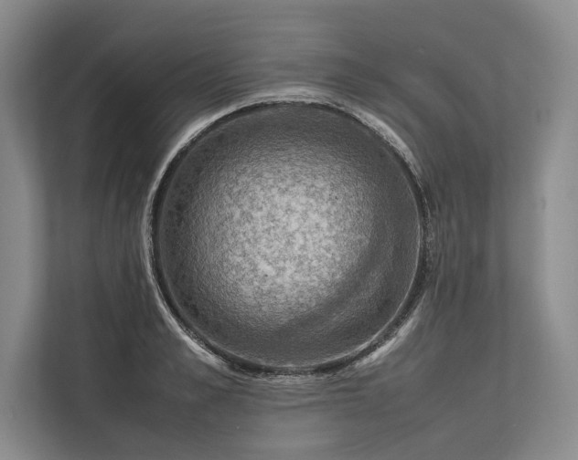 X0000113780989200909231312