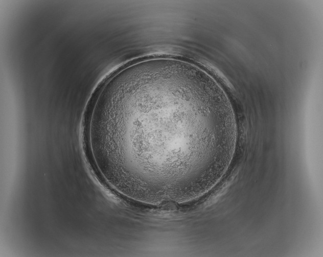 X0000113780991200909231312