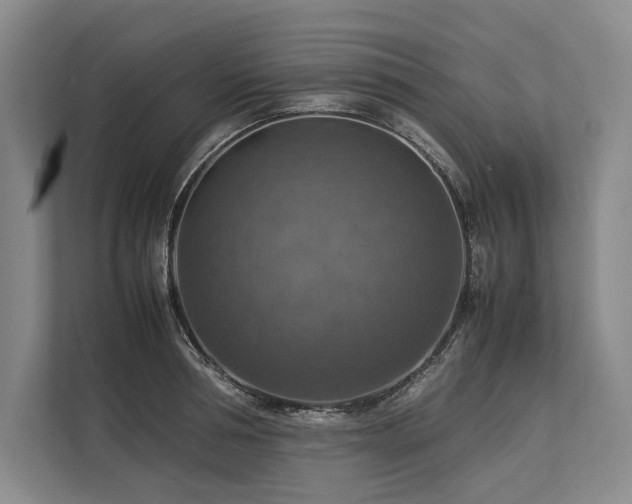 X0000113780994200909231312