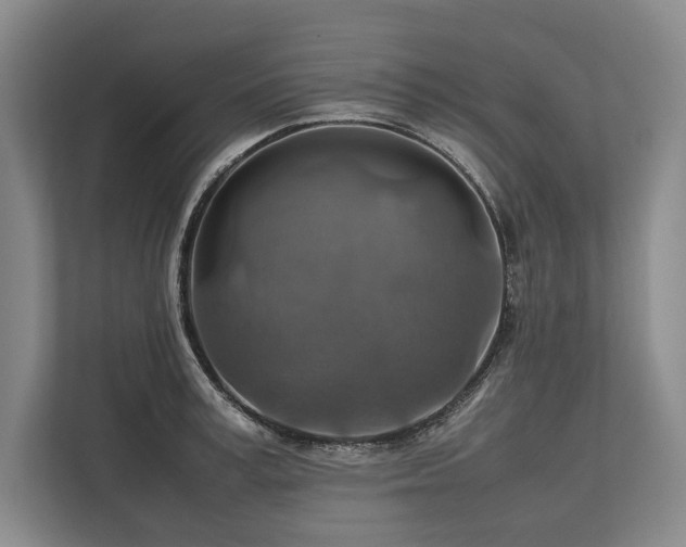 X0000113780995200909231312