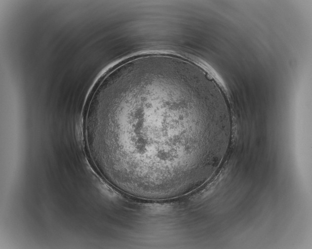 X0000113780996200909231312