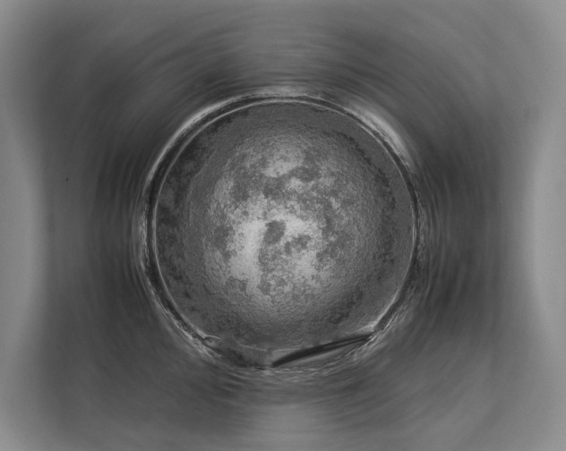 X0000113781000200909231311