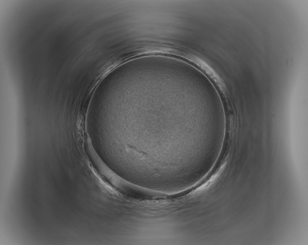 X0000113781001200909231311