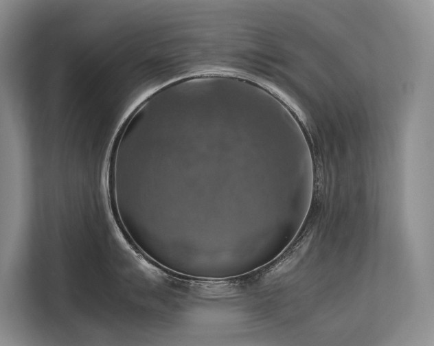 X0000113781007200909231311