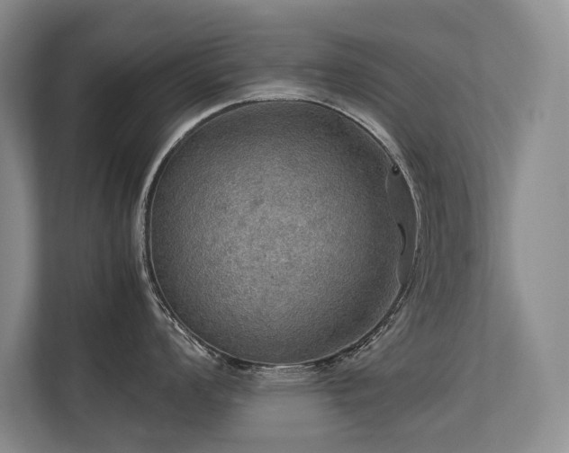 X0000113781008200909231311