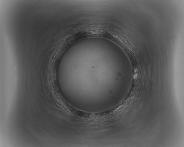 X0000113781009200909231311