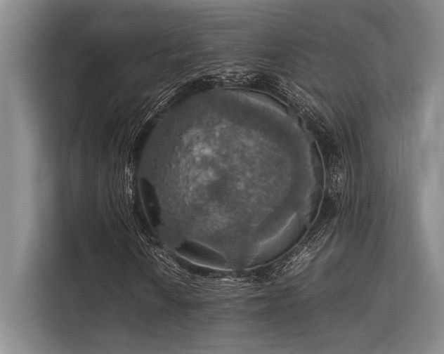 X0000113781010200909231311