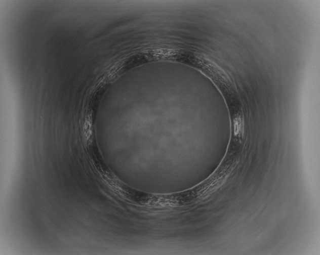 X0000113781011200909231311