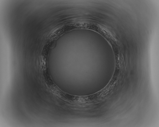 X0000113781013200909231311