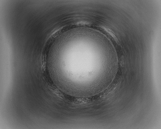 X0000113781015200909231311