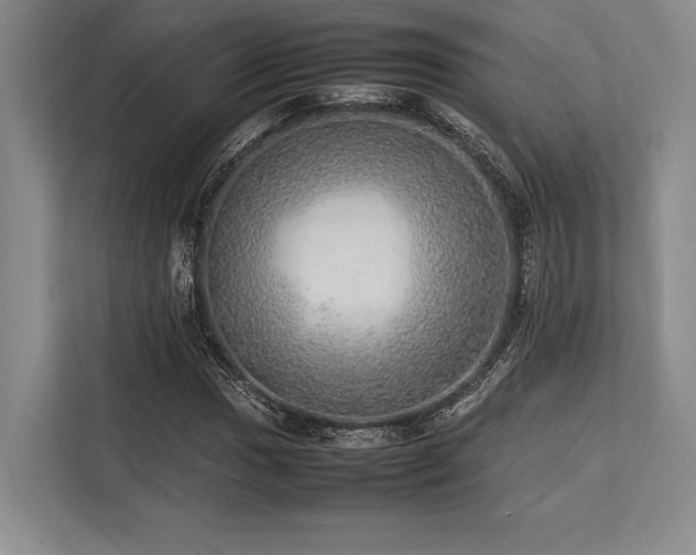 X0000113781017200909231311