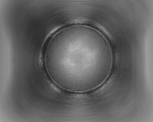 X0000113781018200909231311
