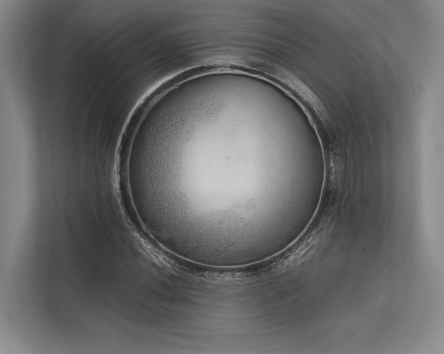 X0000113781020200909231311